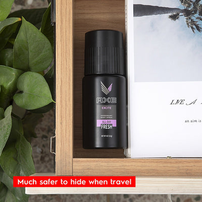 AXE Can Hidden Stash -Hidden Stash -Rave Mates