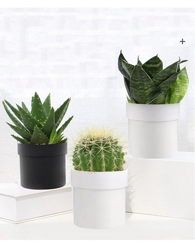 Hidden Safe Flower Pot -Hidden Stash -Rave Mates